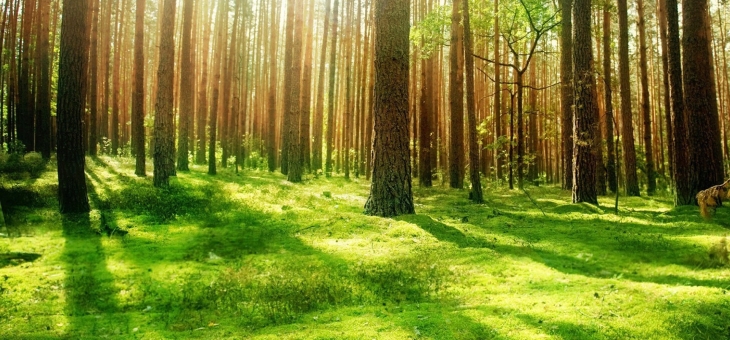 开云体育-米切尔奥运前哨战封神！浙江队踏平猛龙，关键接管诠释巨星本色