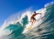 开云体育入口-2026世界杯焦点战，巴拉圭硬仗取胜比利时，南美风暴席卷北美大陆