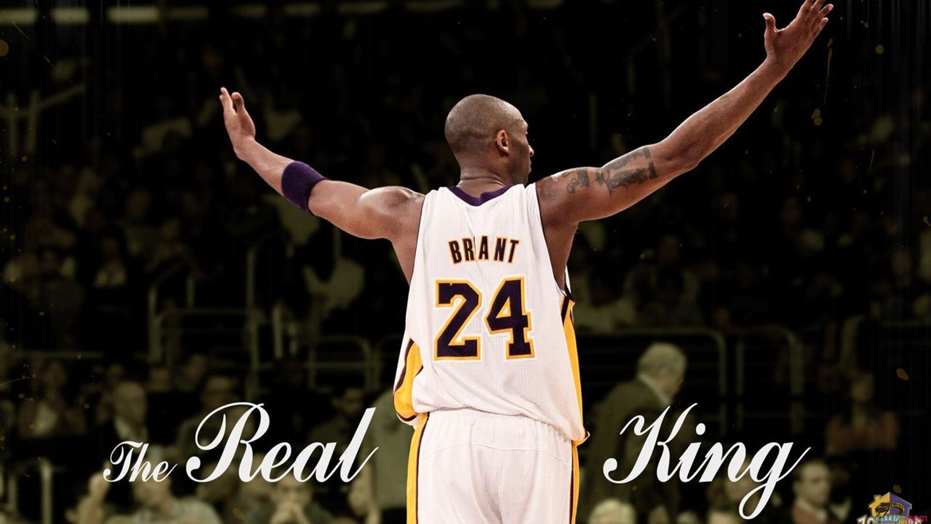 街道狂飙与绿茵传奇，当F1引擎轰鸣遇见威尔士足球奇迹